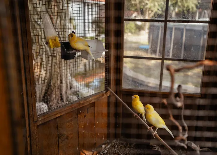 Apartment Muensterland Oase